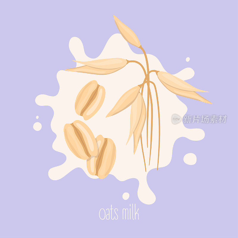 Oats milk. Cashew nut on a milk splash. Vector illustration.